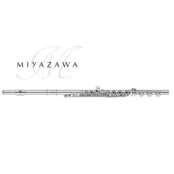 MIYAZAWA BR-958-2REH1
